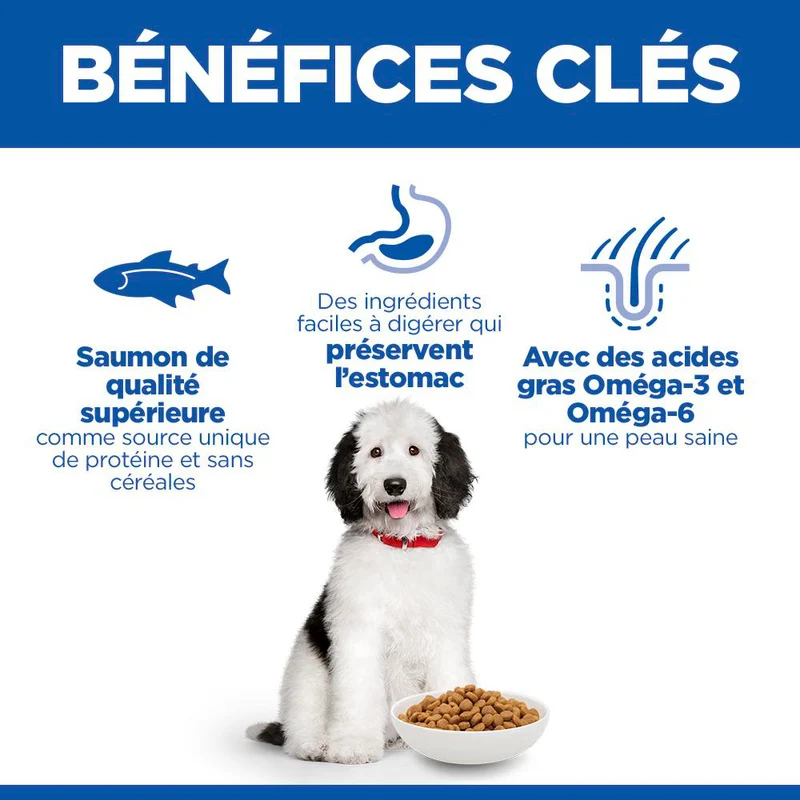 Hill's Science Plan Hypoallergenic Large Adult au saumon – croquettes chien