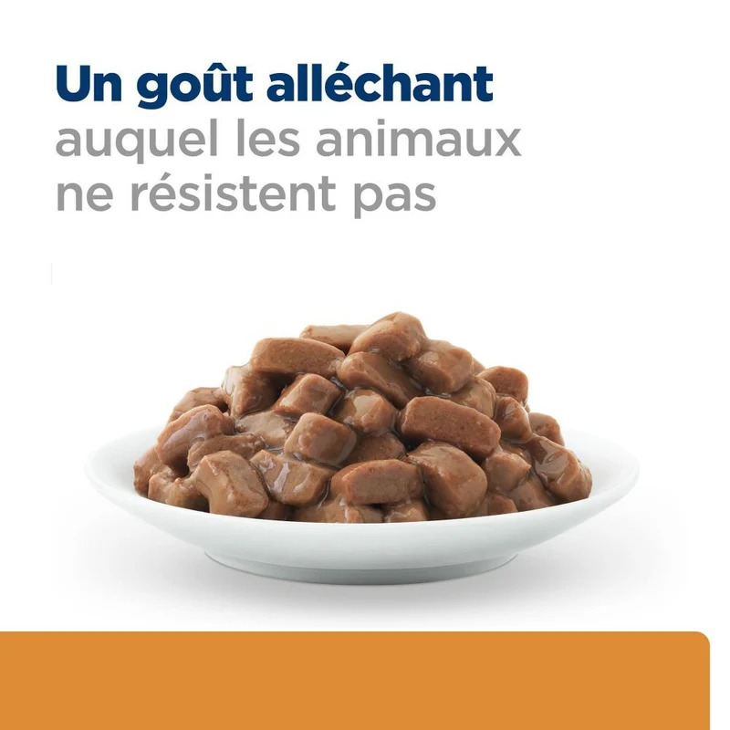 Hill's Prescription Diet k/d Kidney Care en bouchées au bœuf - pâtée chat