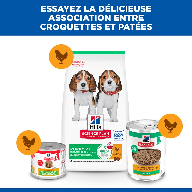 Hill's Science Plan All Breed Puppy au poulet - pâtée chiot