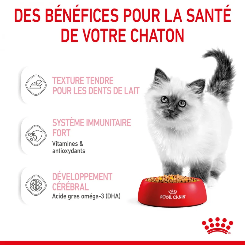 Royal Canin Kitten en gelée - pâtée chaton