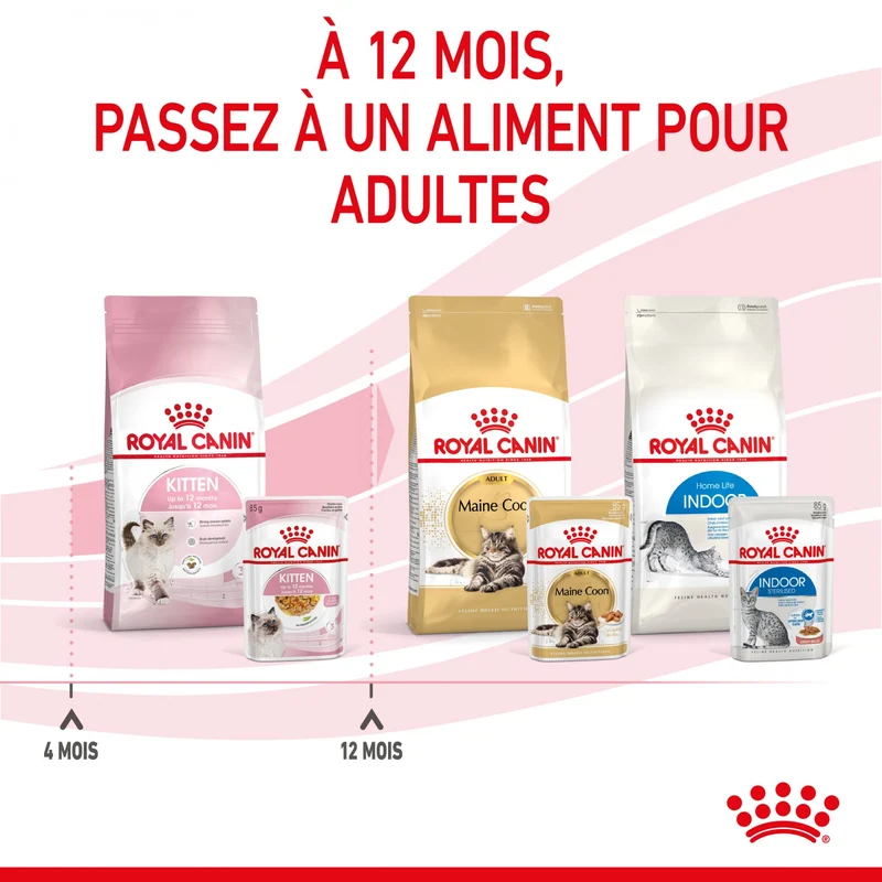 Royal Canin Kitten en gelée - pâtée chaton