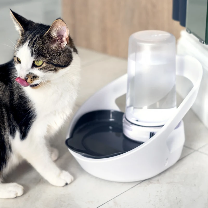 Distributeur d'eau Felaqua Connect chat