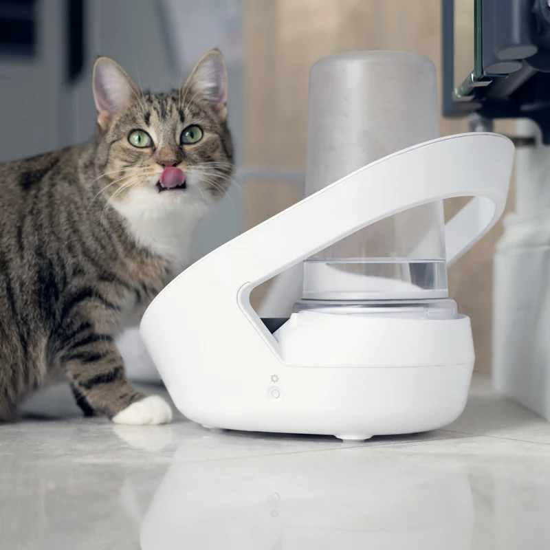 Distributeur d'eau Felaqua Connect chat