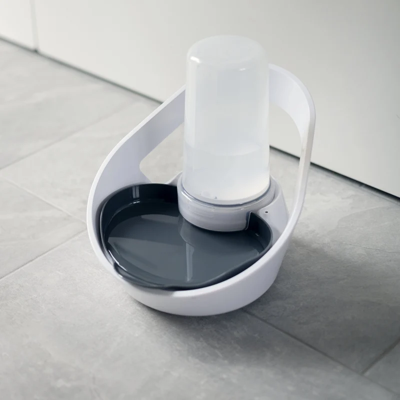Distributeur d'eau Felaqua Connect chat