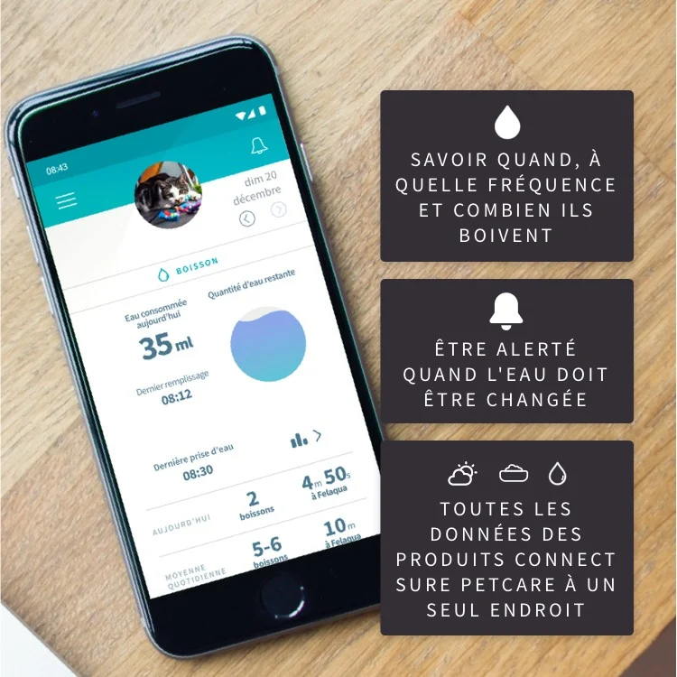 Distributeur d'eau Felaqua Connect chat