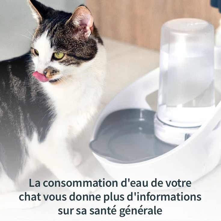 Distributeur d'eau Felaqua Connect chat