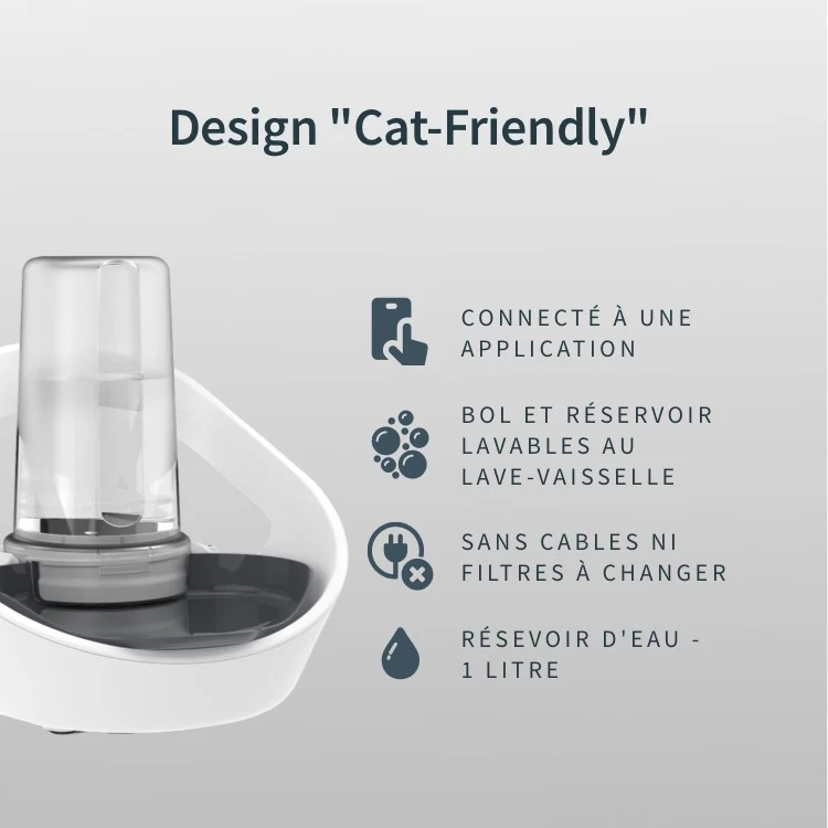 Distributeur d'eau Felaqua Connect chat