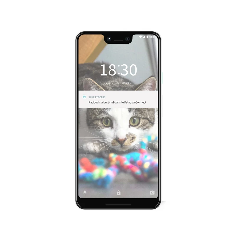 Distributeur d'eau Felaqua Connect chat