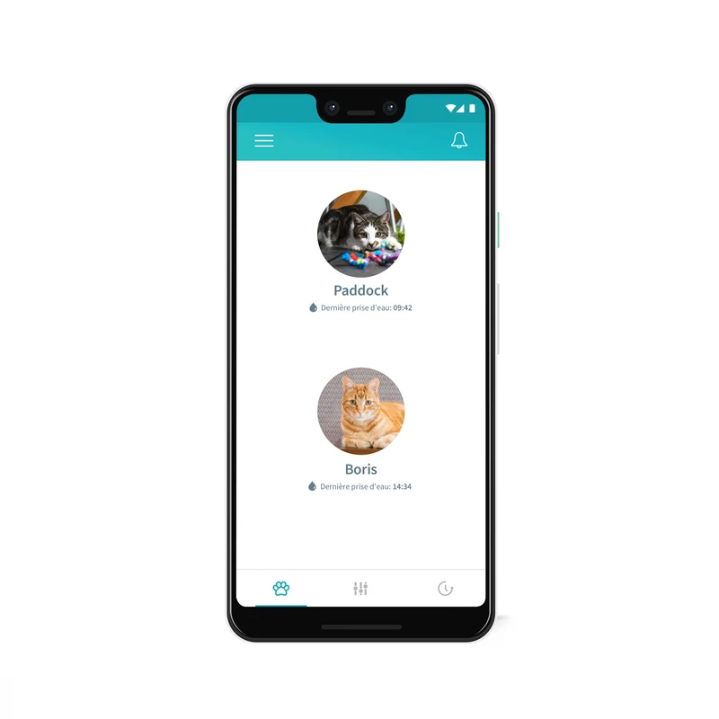 Distributeur d'eau Felaqua Connect chat