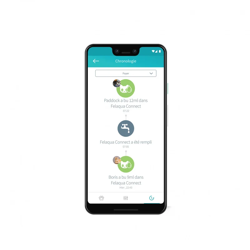 Distributeur d'eau Felaqua Connect chat