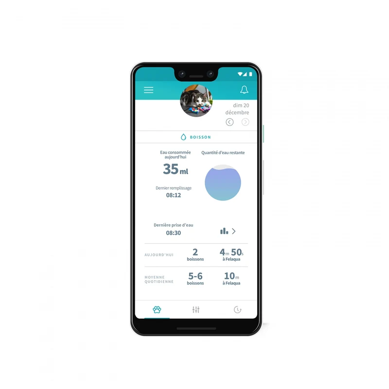 Distributeur d'eau Felaqua Connect chat