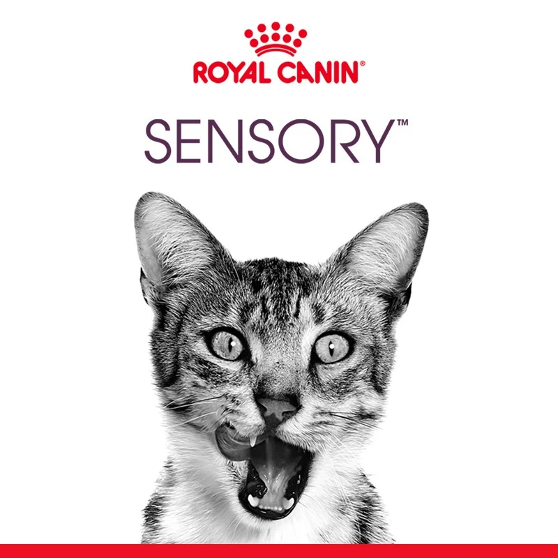 Royal Canin Sensory Feel