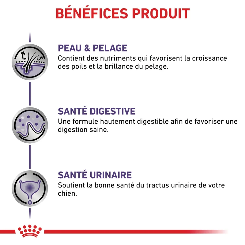 Royal Canin Expert Dog Adult - pâtée chien