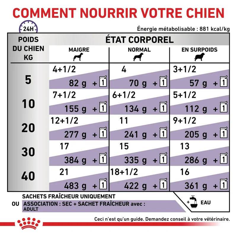 Royal Canin Expert Dog Adult - pâtée chien