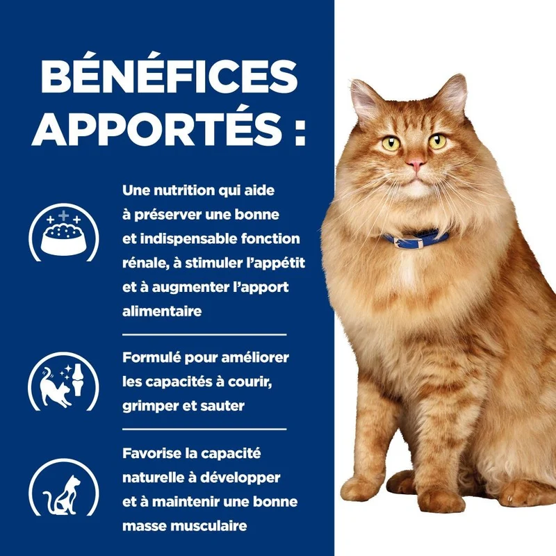 Hill's Prescription Diet k/d j/d Kidney + Mobility en sachets au poulet - pâtée chat
