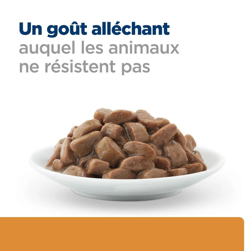 Hill's Prescription Diet k/d j/d Kidney + Mobility en sachets au poulet - pâtée chat