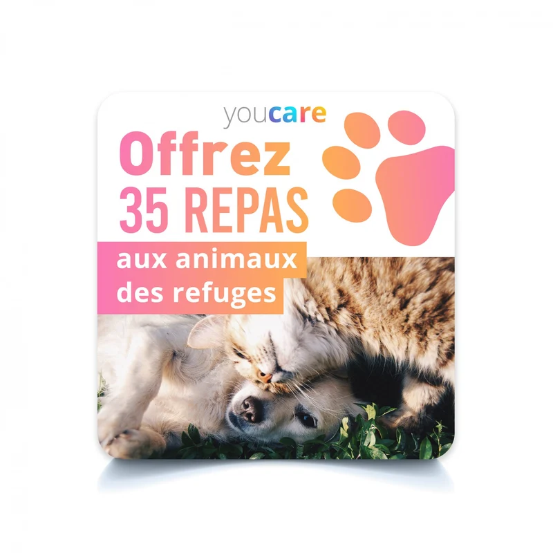 Offrez 35 repas aux animaux des refuges, YouCare