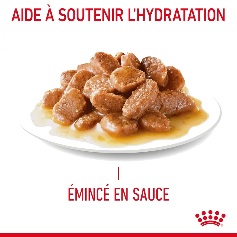 Royal Canin Appetite Control Care en sauce - pâtée chat