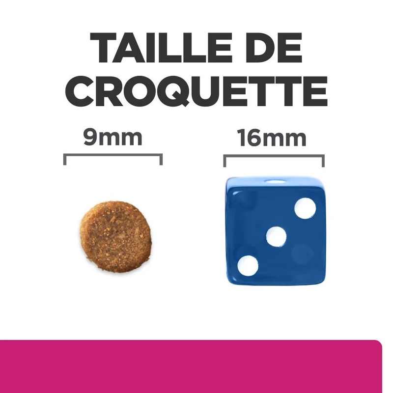 Hill's Prescription Diet Gastrointestinal Biome au poulet - croquettes chat