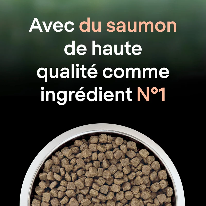 PRO PLAN LiveClear Sterilised Adult au Saumon - Croquettes pour chat