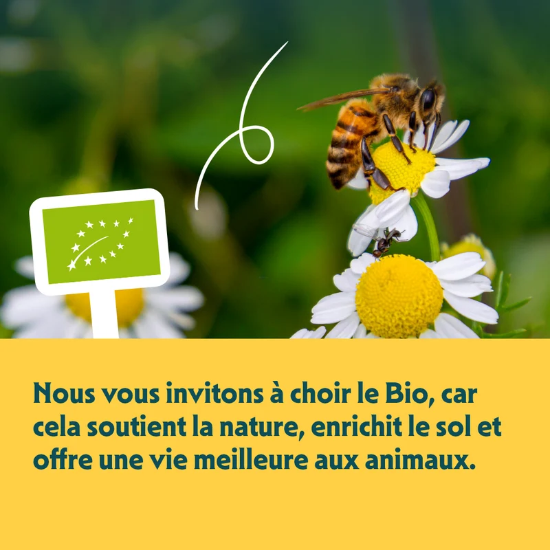 Yarrah bio - pâtée chat