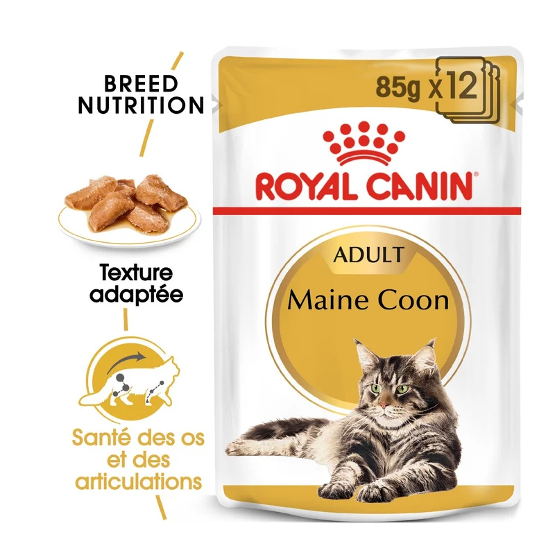 Royal Canin Maine Coon Adult - pâtée chat