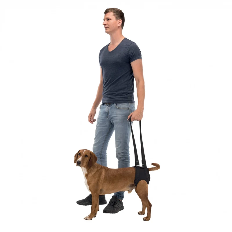 Harnais d'aide à la marche chien