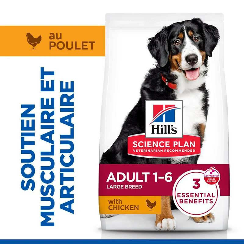 Hill's Science Plan Large Adult au poulet - croquettes chien