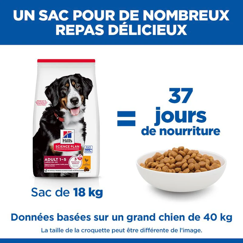 Hill's Science Plan Large Adult au poulet - croquettes chien
