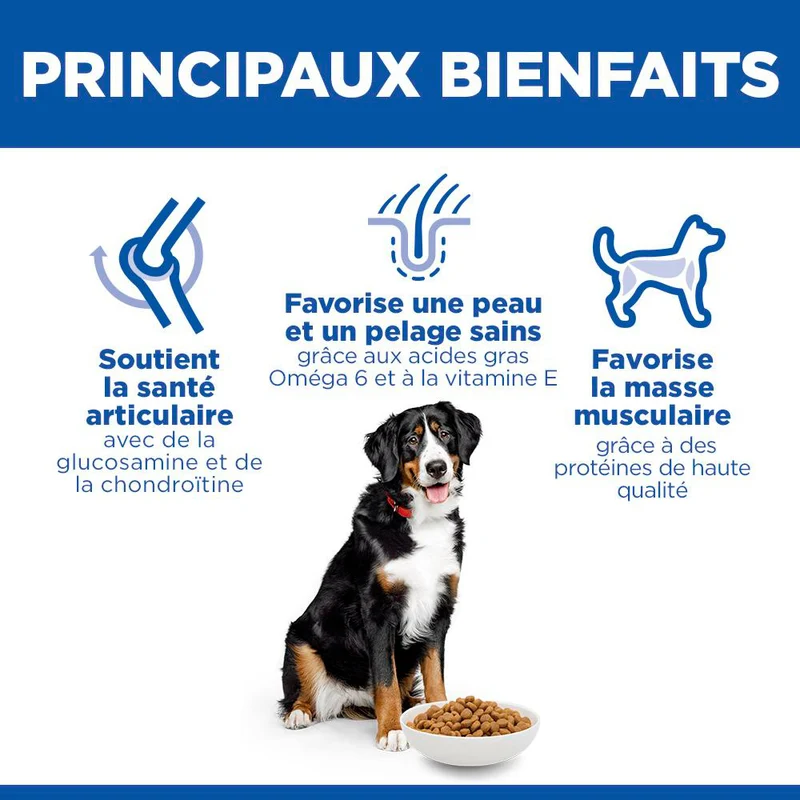 Hill's Science Plan Large Adult au poulet - croquettes chien