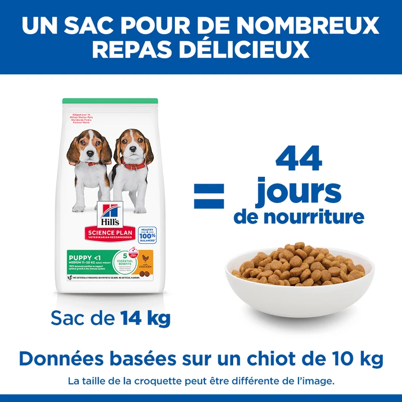 Hill's Science Plan Medium Puppy au poulet - croquettes chiot