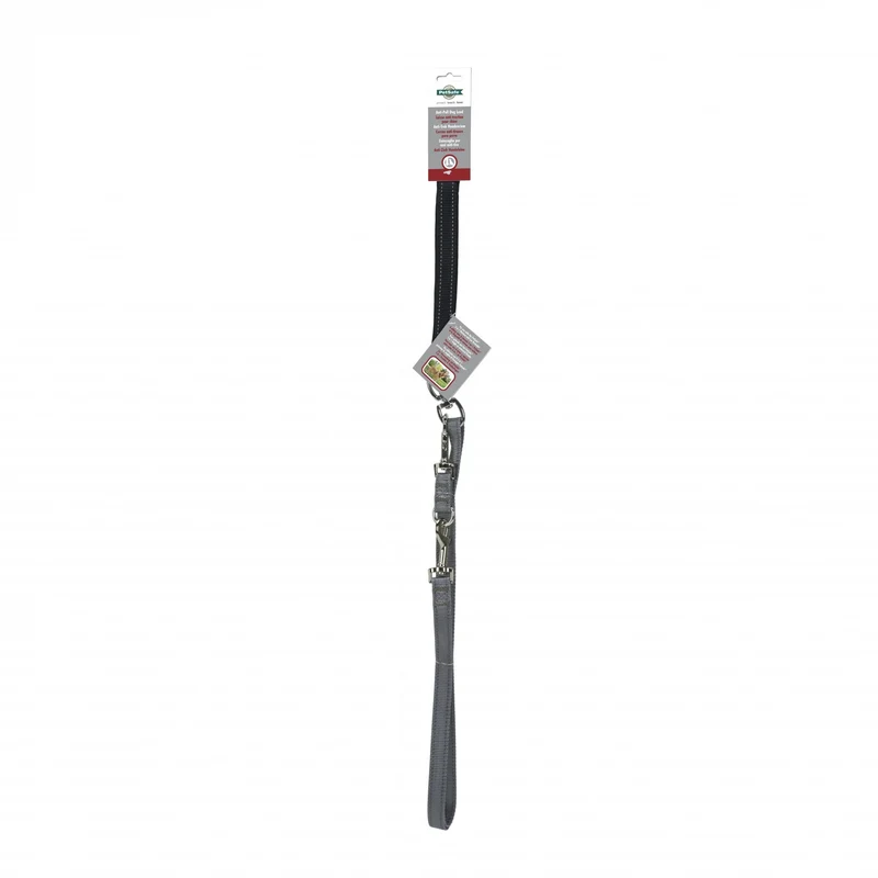 Laisse anti-traction Easywalk chien