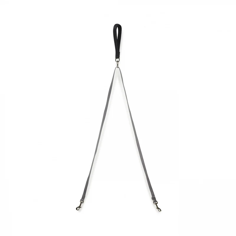 Laisse anti-traction Easywalk chien