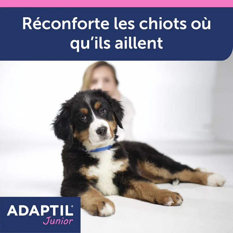 ADAPTIL® Junior collier