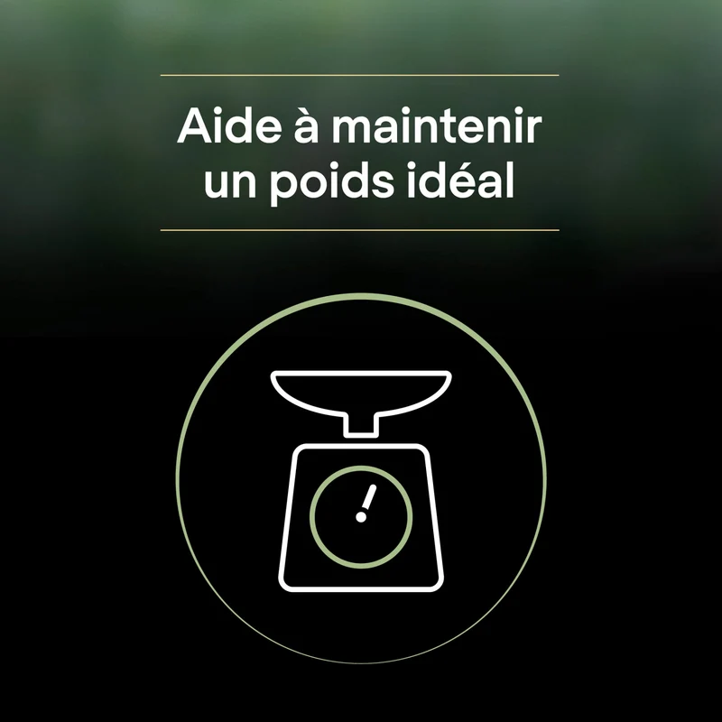 PRO PLAN LiveClear Sterilised Adult à la Dinde - Croquettes pour chat
