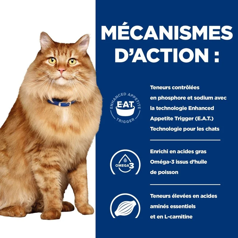 Hill's Prescription Diet k/d j/d Kidney + Mobility au poulet - croquettes chat