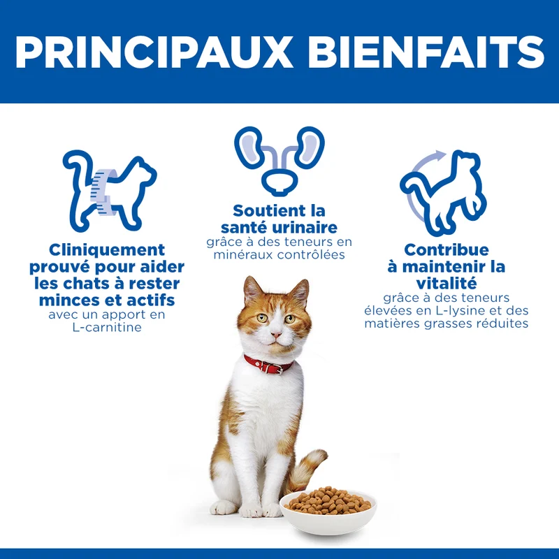 Hill's Science Plan Sterilised Adult au saumon - croquettes chat
