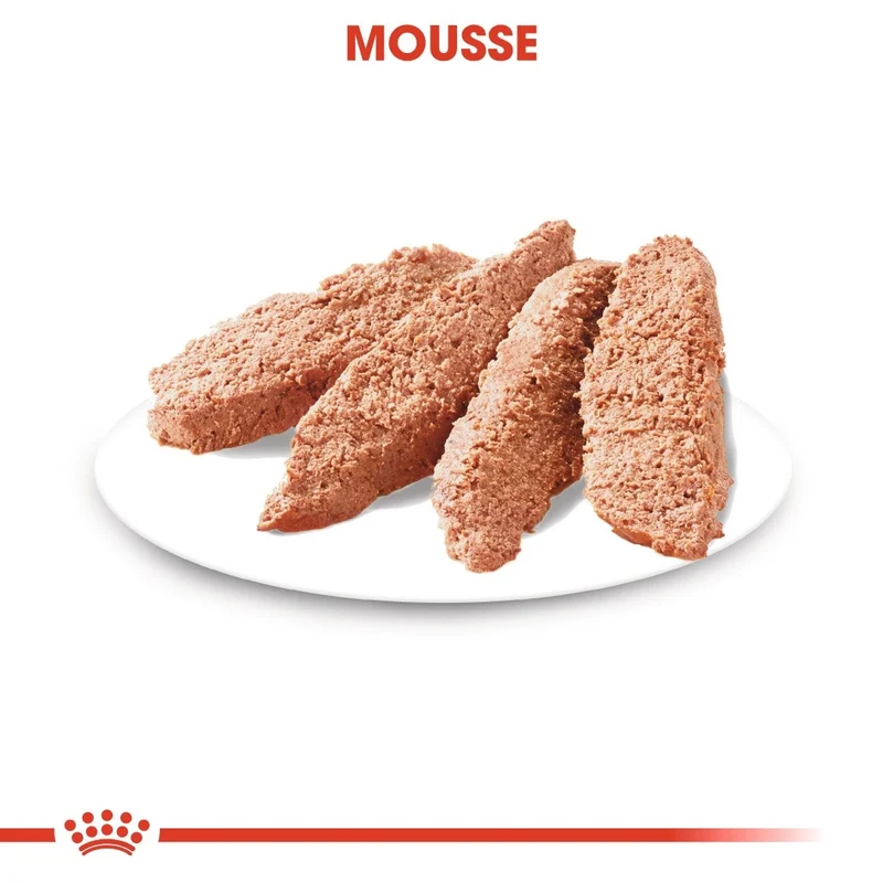 Royal Canin Light Weight Care en mousse - pâtée chien