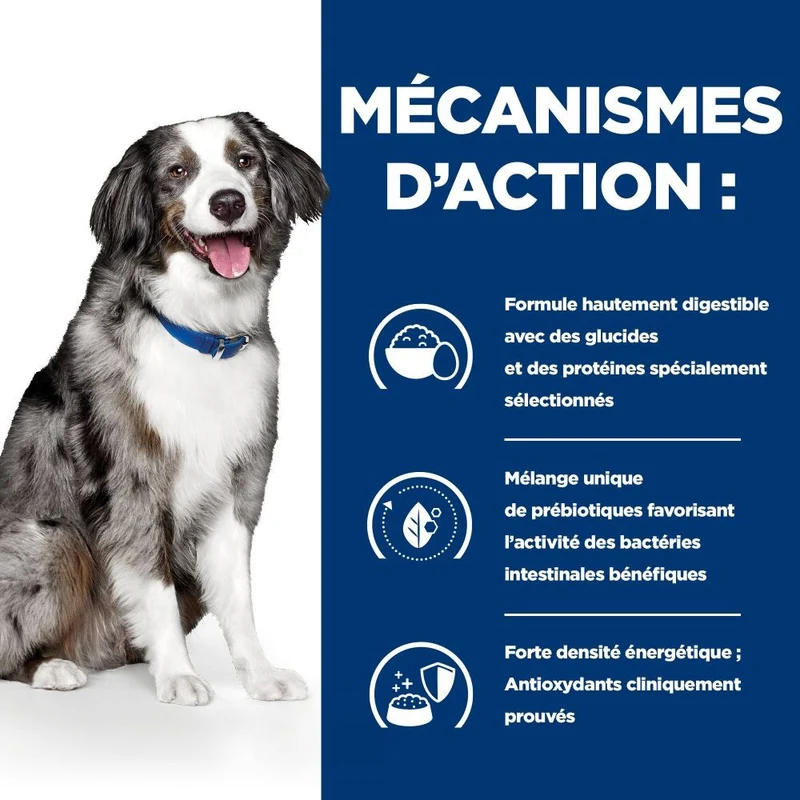 Hill's Prescription Diet i/d Digestive Care Sensitive à l'oeuf et au riz - croquettes chien