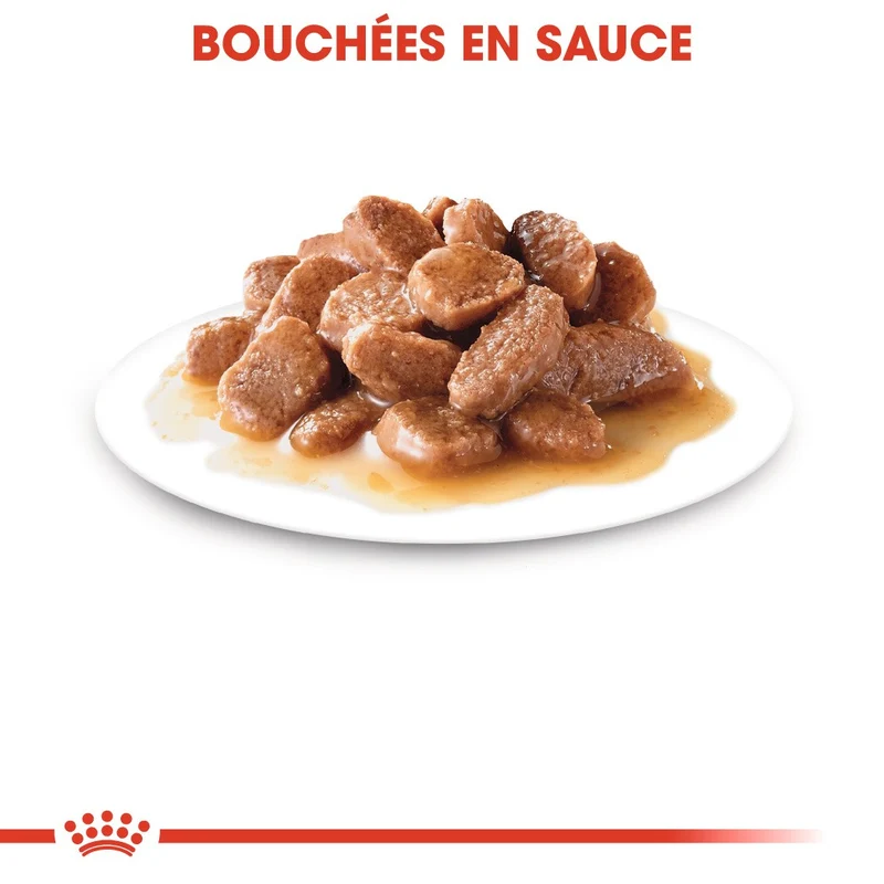 Royal canin Urinary Care en sauce - pâtée chat