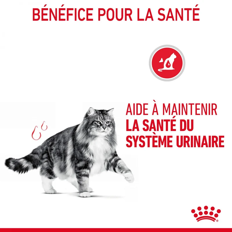 Royal canin Urinary Care en sauce - pâtée chat