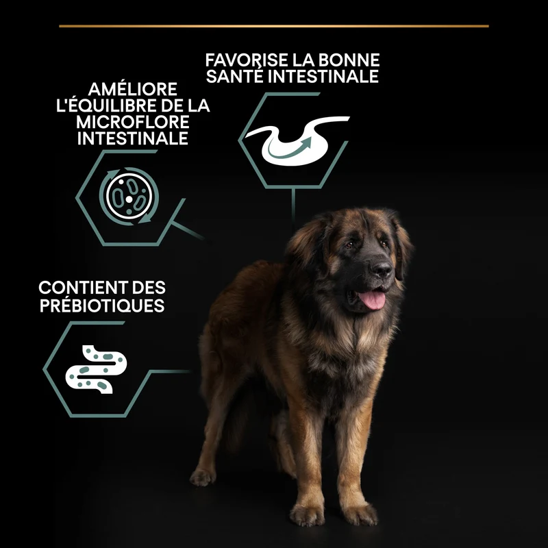 Pro Plan Sensitive Digestion Large Robust Adult à l'agneau - croquettes chien