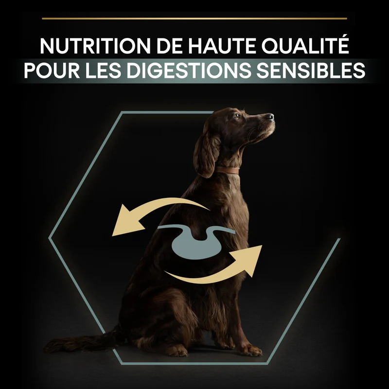 Pro Plan Sensitive Digestion Large Athletic Adult à l'agneau - croquettes chien
