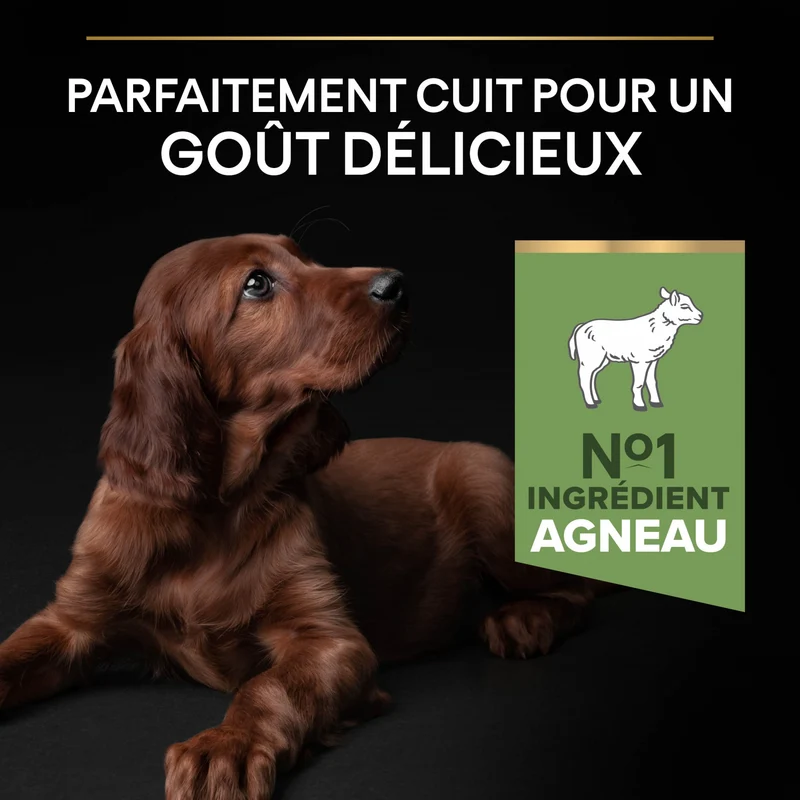 Pro Plan Sensitive Digestion Large Athletic Puppy à l'agneau - croquettes chiot