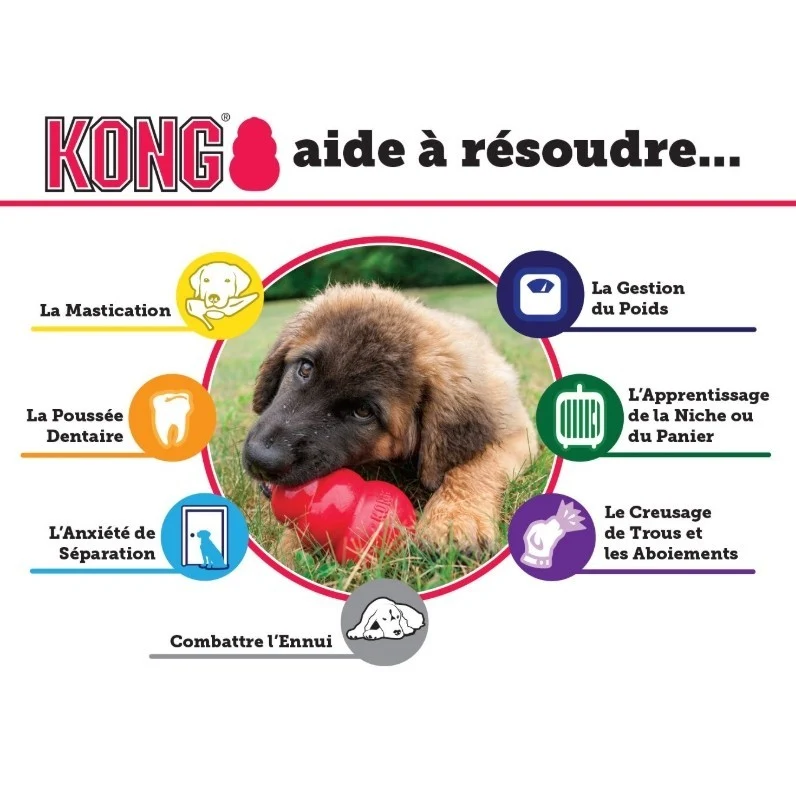 Jouet Kong chiot