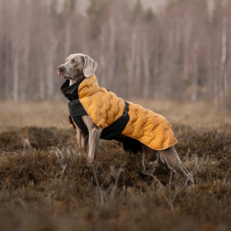 Doudoune pour chien