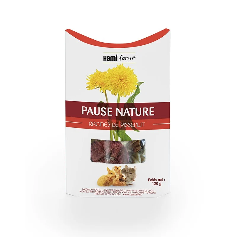 Pause Nature rongeur