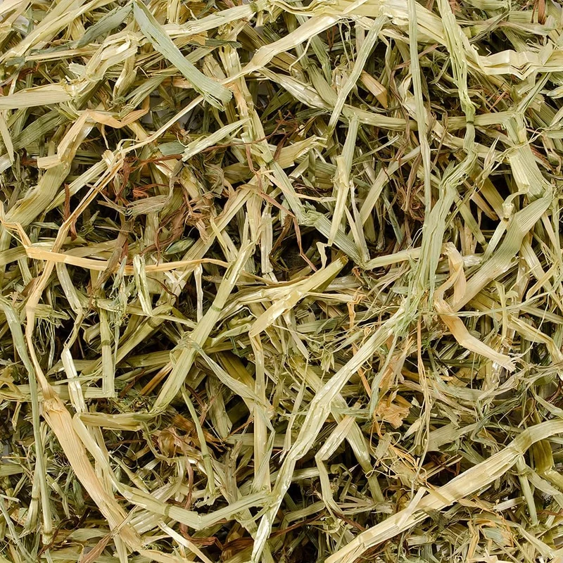 Foin d'avoine OAT Hay lapin, rongeur