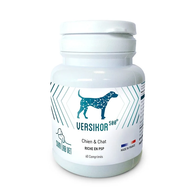 Versikor 500® - chien et chat