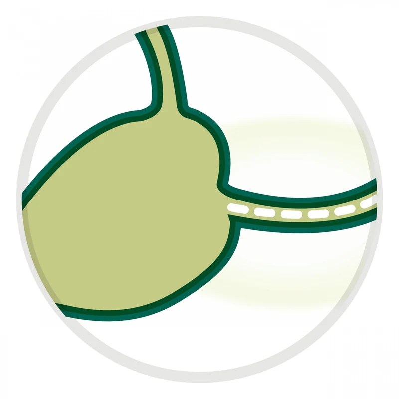 Pro Plan Nutrisavour Sterilised en sauce - pâtée chat